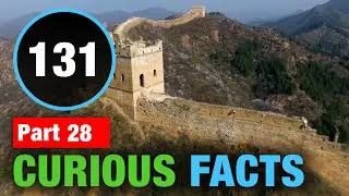 131 World Facts | Amazing Random Facts