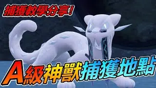 《寶可夢朱紫》四災獸「古劍豹 」詳細捕獲攻略