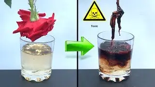 3 Crazy Sulfuric Acid Experiments | H2SO4 vs Rose
