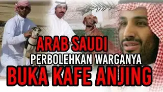 Arab saudi perbolehkan warganya buka kafe Anjing untuk pemelihara Anjing