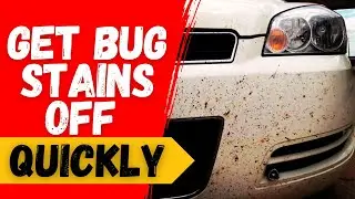 How to Clean Bug Stains Off Your Car in&nbsp;Minutes