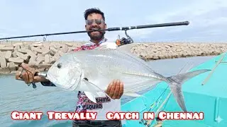 Giant Trevally Fishing In Chennai 🎣#gtfishing #tamilfishing #fishingtips #rodandreel #fishing 