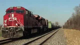 CP 141 with a nice P3 in Milan, MI