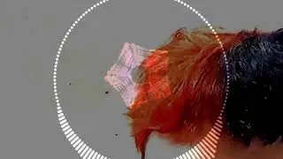 Webneversleeps - Cut Me (prod. Sketchmyname)