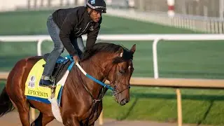 Horse Racing Betting🏇Preakness Stakes Preview & Betting Tips