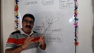 Biology chapter 3 flower class 9 ///            flower chaper biology ##icse