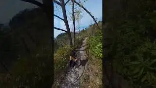 Hiking in NC mountains #hiking #shorts #hikingvlog #vlog #mountains #mountainview