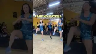 PANE NO SISTEMA - TREINO INTENSEHIIT