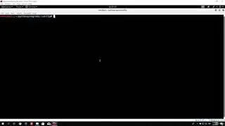 L21 (#3) Anonymous FTP login attack