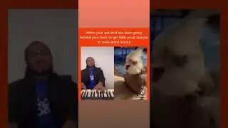 When your pet bird secretly gets R&B vocal lessons!