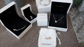 Pandora Collection of Disney & Regular Items | Beginning of Year