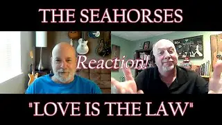THE SEAHORSES – Love is the Law | REACTION