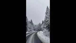 Austria Winter Wonders: A Peaceful Morning Drive