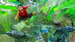Women find catch frog in river - Fried frog for dog eating Delicious HD