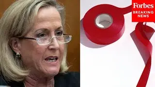 'Mountains Of Red Tape Are Stifling Growth': Ann Wagner Calls To Cut Regulations For Entrepreneurs