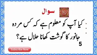 🧠 IQ Test Challenge 😱 | 50+ General Knowledge Questions in Urdu | Paheliyan in Hindi #043