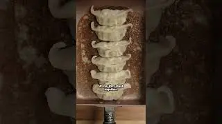 Pan-Fried Dumplings