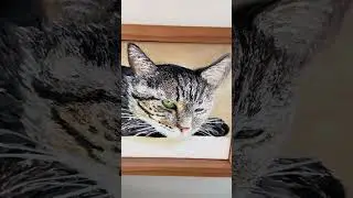 Tribute to a beloved pet