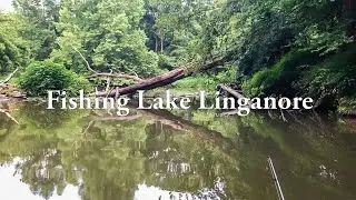 Canoe Fishing in Lake Linganore (Catch & Cook)