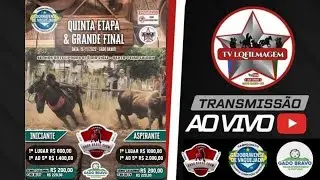VAQUEJADA AO VIVO / FINAL CAMPEONATO GADOBRAVENSE / PARQUE GADO BRAVO SHOW / GADO BRAVO - PB