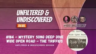 #184 Mystery Song Deep Dive - The Triffids' 'Wide Open Road: In-Depth Look at an Australian Classic
