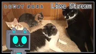 Do Catbots Sing Ghostly Songs? | Ghost Song with the Cats