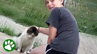 Mother watches 13-year-old earn homeless cat's trust