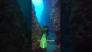 🤿 BUCEAR en un CA&Ntilde;&Oacute;N en la isla de LANZAROTE: un buceo INCRE&Iacute;BLE!!