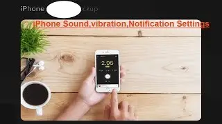iPhone Sound,vibration,Notification Settings on iPhone X,iPad how to manual