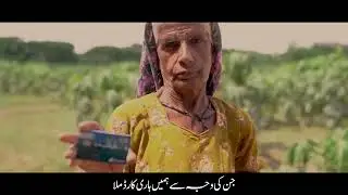 Benazir Hari Card: A New Ray of Hope for Millions of Farmers in Sindh