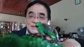 Catolicismo e as novas religiões japonesas