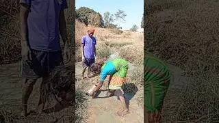 family vlog in gao👍❤️#familyvlog #shortvideo #villagerlifestyle