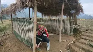 The single mother and her 14-month-old child cut down the trees and brought them back to their home