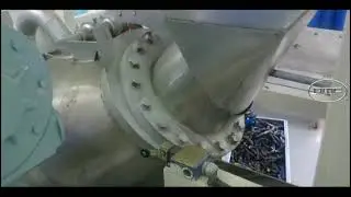 Automatic Steam Peeler