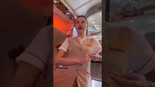 Нужны ли стюардессам визы во все страны мира? #emirates #стюардесса #эмирейтс