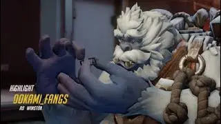 Nano Winston
