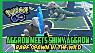 WHEN NORMAL AGGRON MEETS SHINY AGGRON IN POK&Eacute;MON GO #Shorts