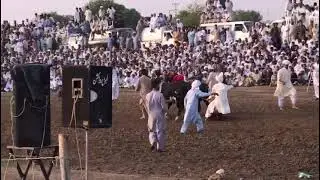 Bull Race Karsaal |Danda Na Show| |Danda Na Shooq| in Pakistan