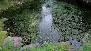 20.07.2025 Knölbäckens Vattenfall, Näckådalens Såg