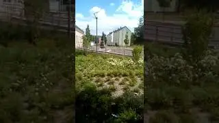 Auch Premnitz