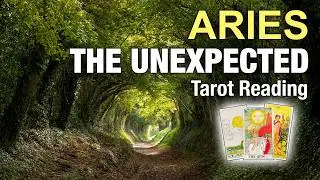 ARIES THE UNEXPECTED 