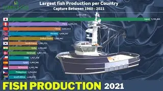 Largest Fish Production per Country | Fish Production