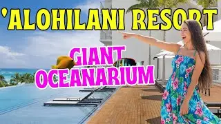 'Alohilani Resort Waikiki Beach in Honolulu, Hawaii - CHECK OUT THE FULL REVIEW🌺