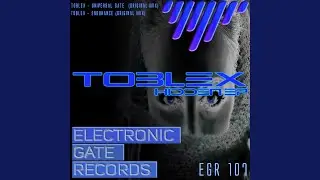Universal Gate (Original Mix)