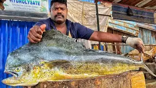 KASIMEDU🔥 SPEED SELVAM | HUGE MAHI MAHI FISH CUTTING VIDEO | 4K VIDEO | CS FISH CUTTING