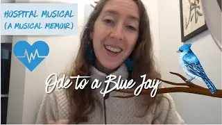 Ode to a Blue Jay (an original song and the story behind it)