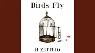 Birds Fly
