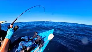 Pushing Limits - Perth Mackerel Hunt Continues