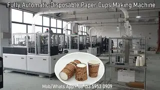 Good Quality Disposable Paper Cup Machine Paper Cup Making Machine Price  Paper Cups Forming Machine