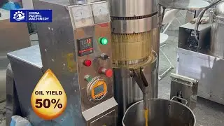 Hydrualic Sesame Seeds Oil Press Machine|Sesame Oil Expeller|Sesame Seed Oil Extractor|Oil Presser